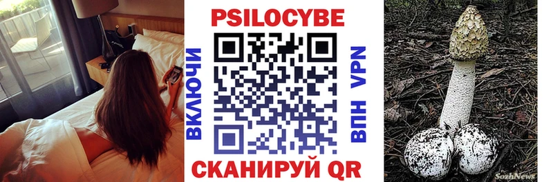 Псилоцибиновые грибы Magic Shrooms  Купить закладки  Нахабино 